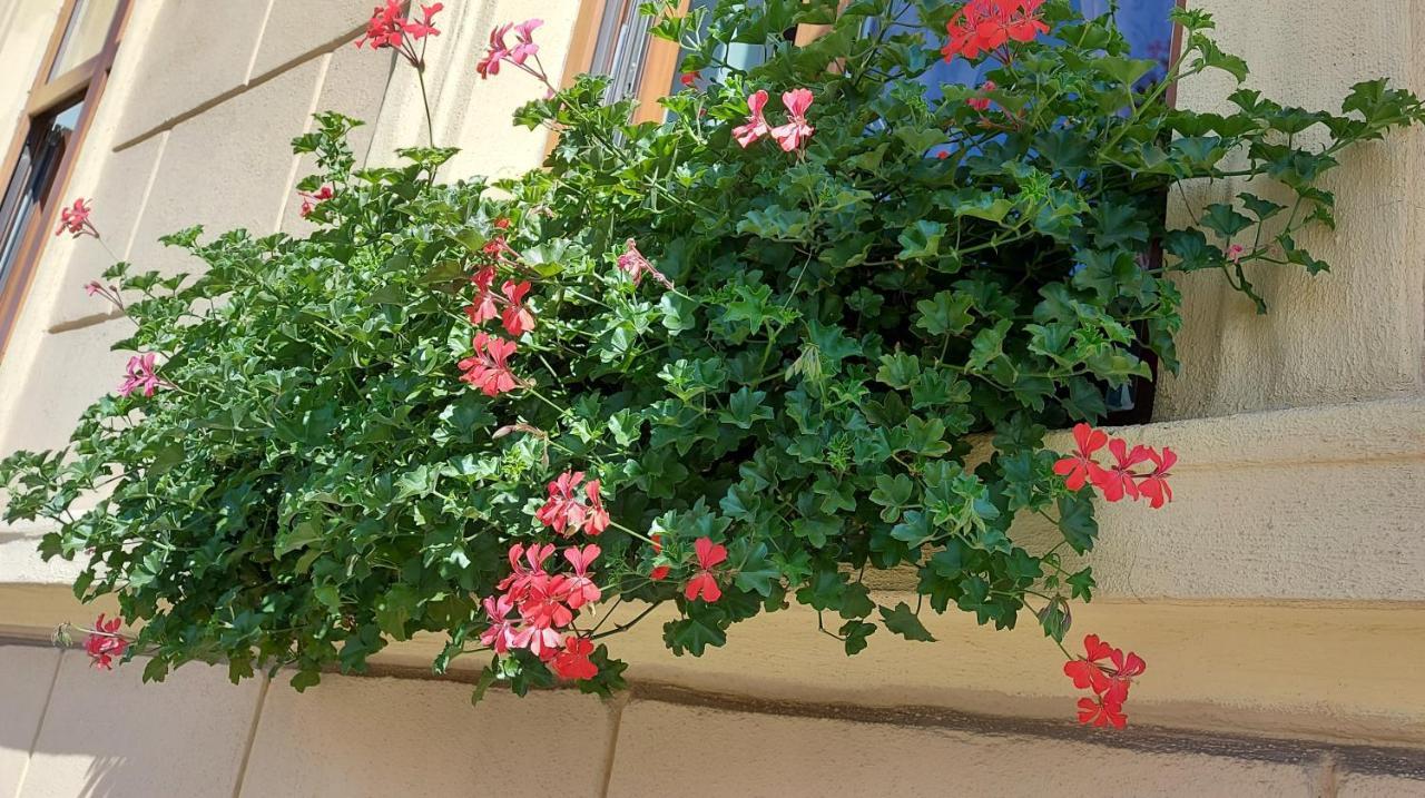 Gabrinas Apartament Apartment Sibiu Exterior photo